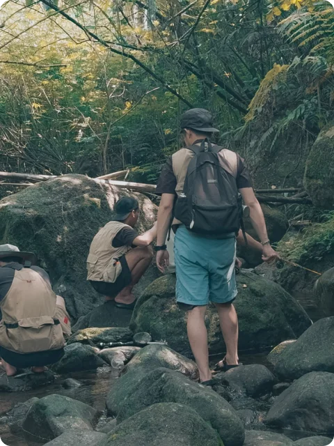 Into The Wild
