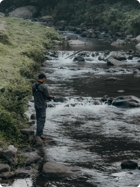 Micro Fishing